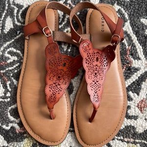 TORRID SANDALS